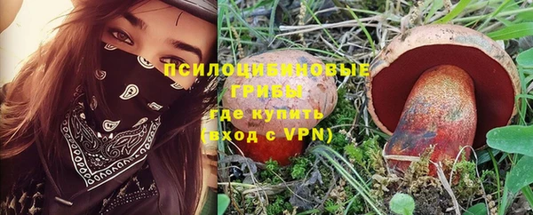 синтетический гашиш Богданович