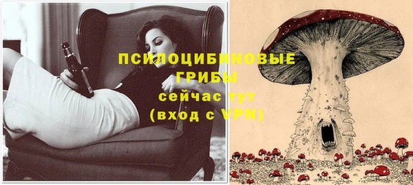 синтетический гашиш Богданович