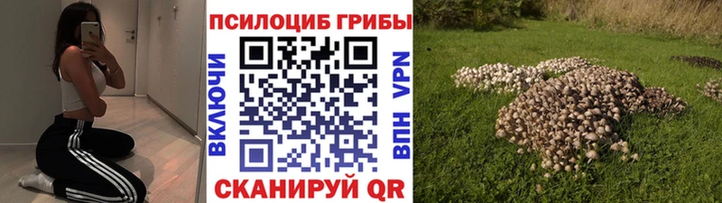 Галлюциногенные грибы Cubensis  Купить где  Белоярский 